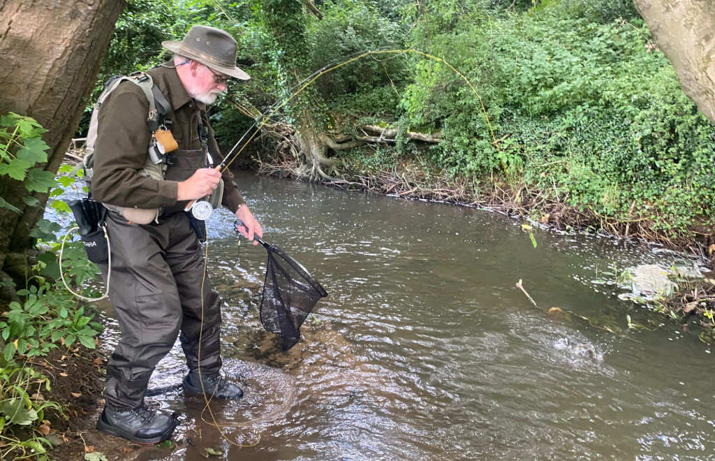 Photo of a trout ready to net